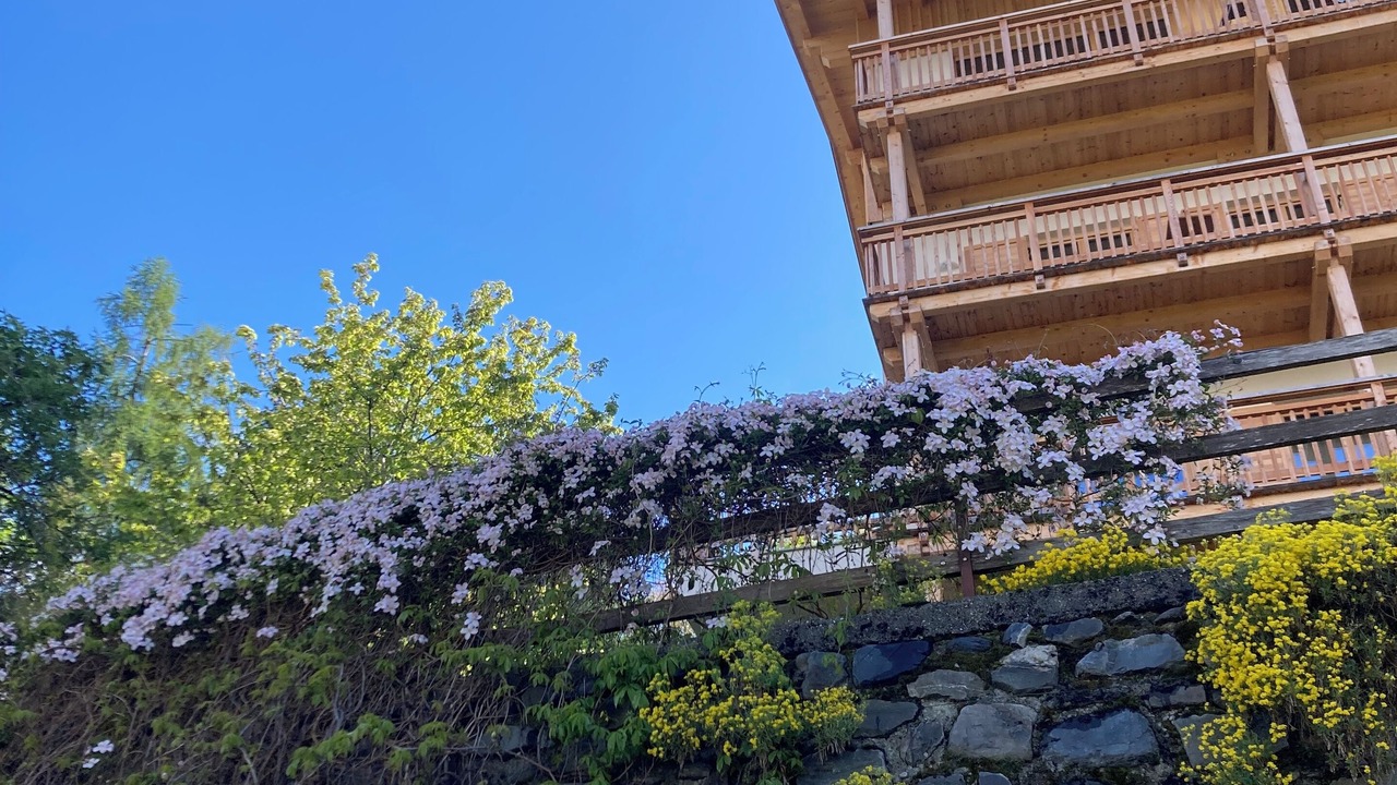 Photo of Outdoor in Bressanone