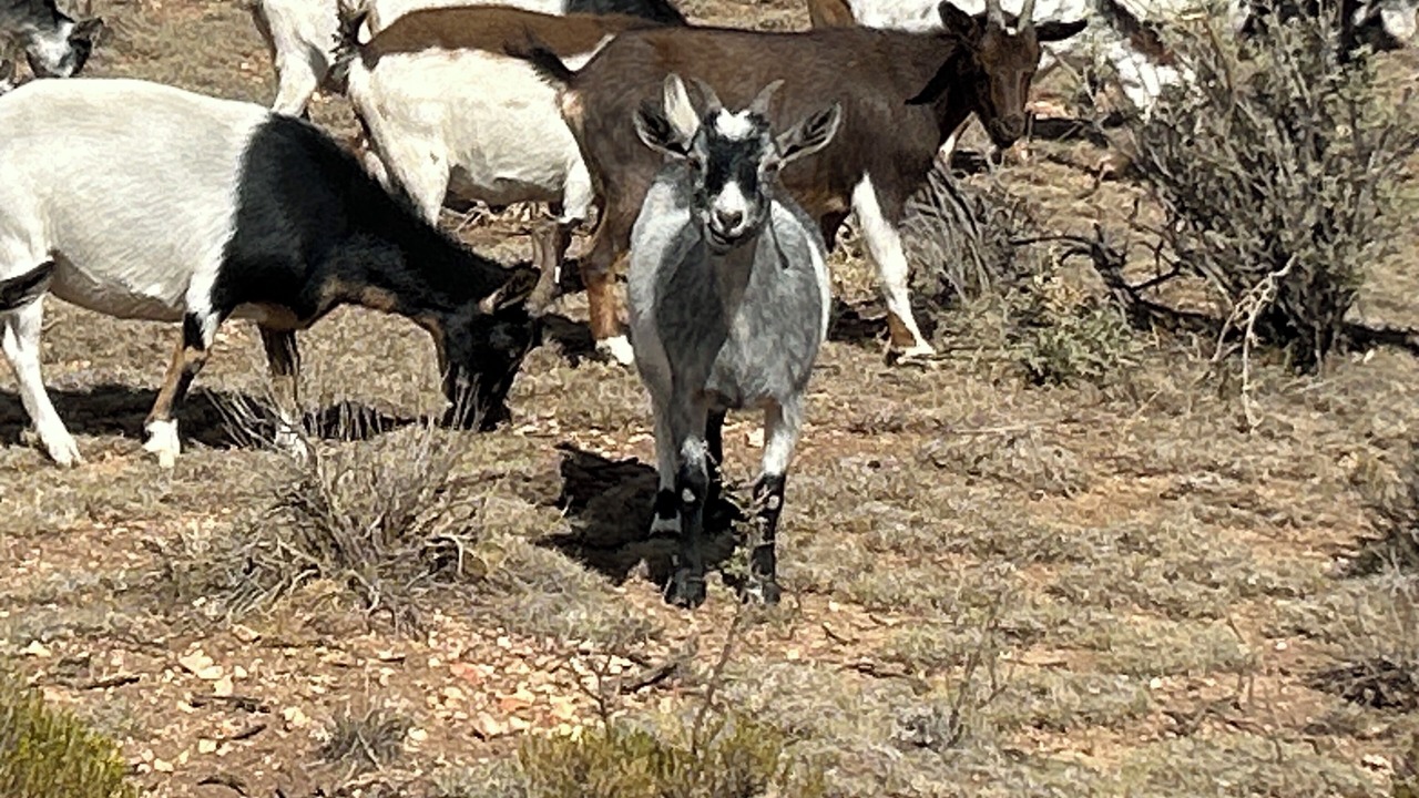 Photo of Others in Valle