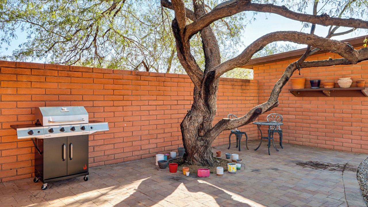 Photo of Outdoor in Tanque Verde