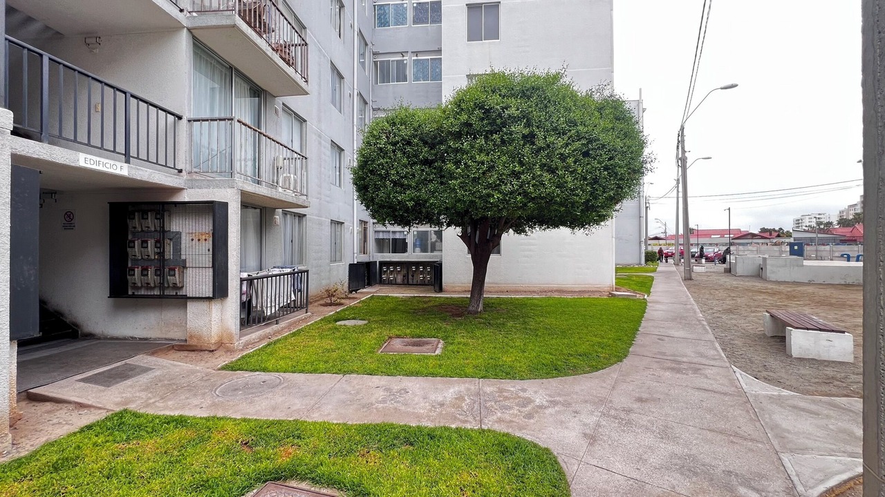 Photo of Outdoor in La Serena