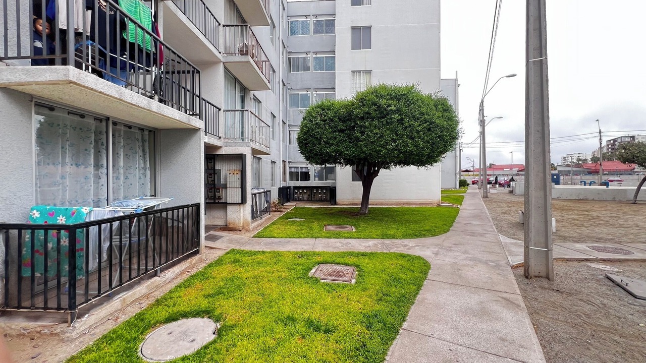 Photo of Outdoor in La Serena