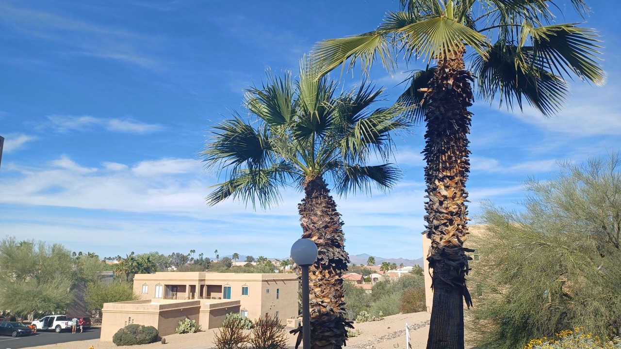 Photo of Others in Fountain Hills