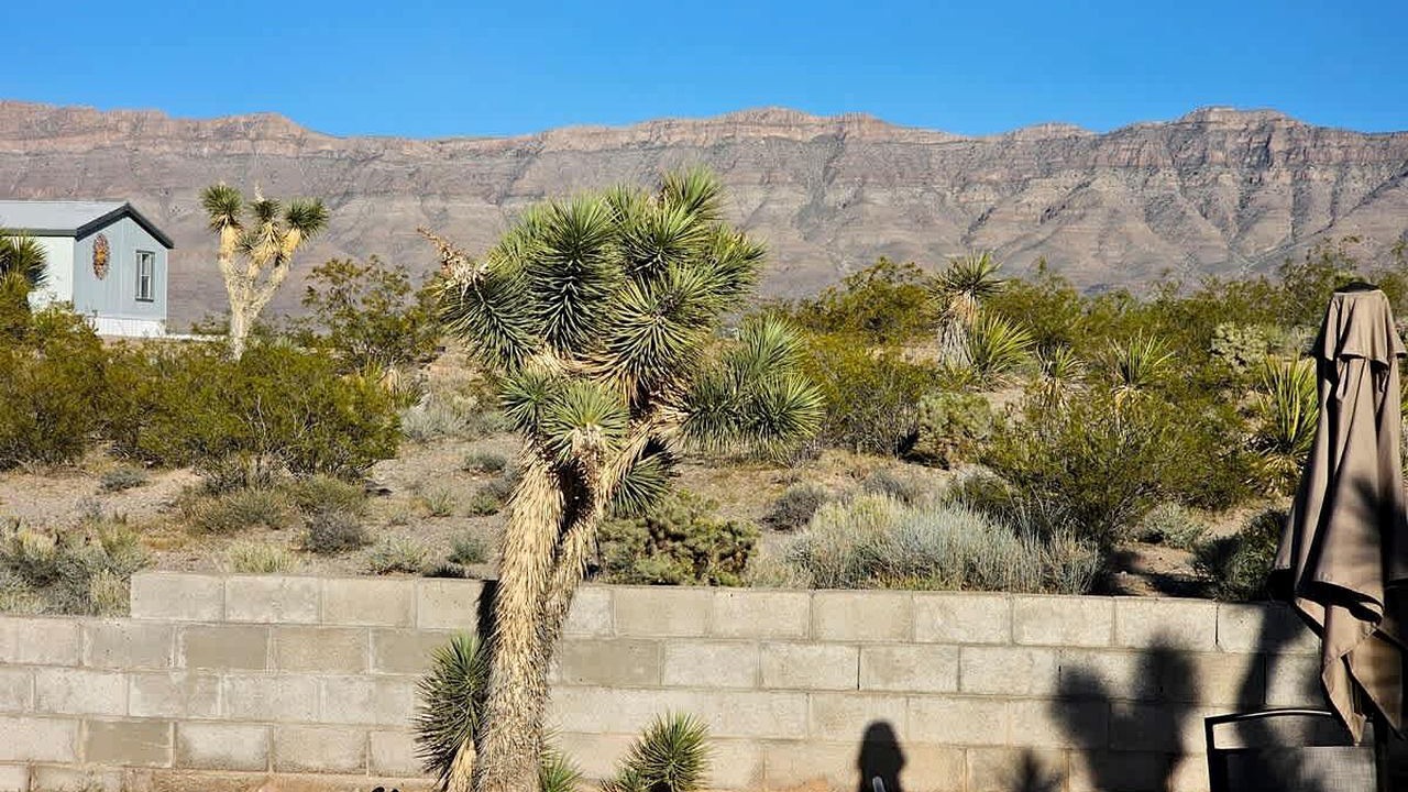 Photo of Outdoor in Meadview