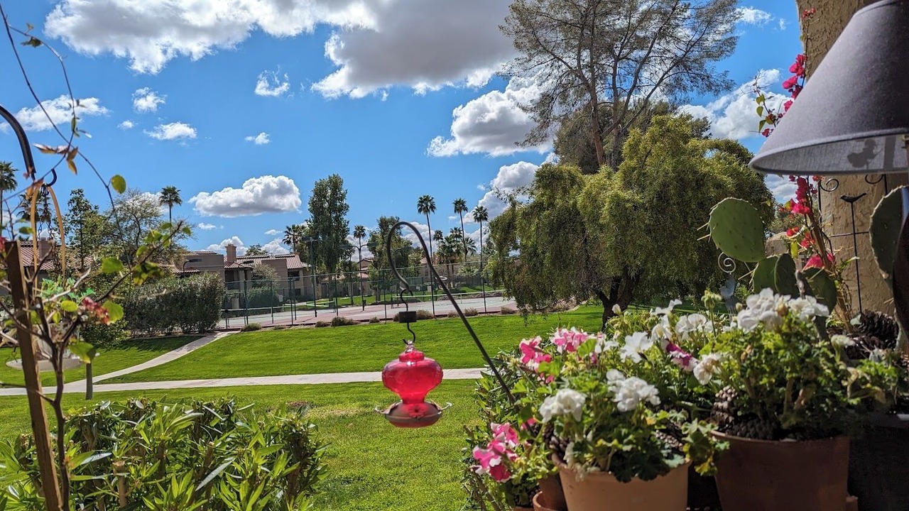 Photo of Outdoor in Central Scottsdale