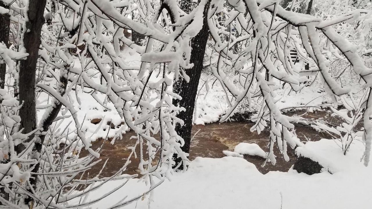 Photo of Others in Christopher Creek