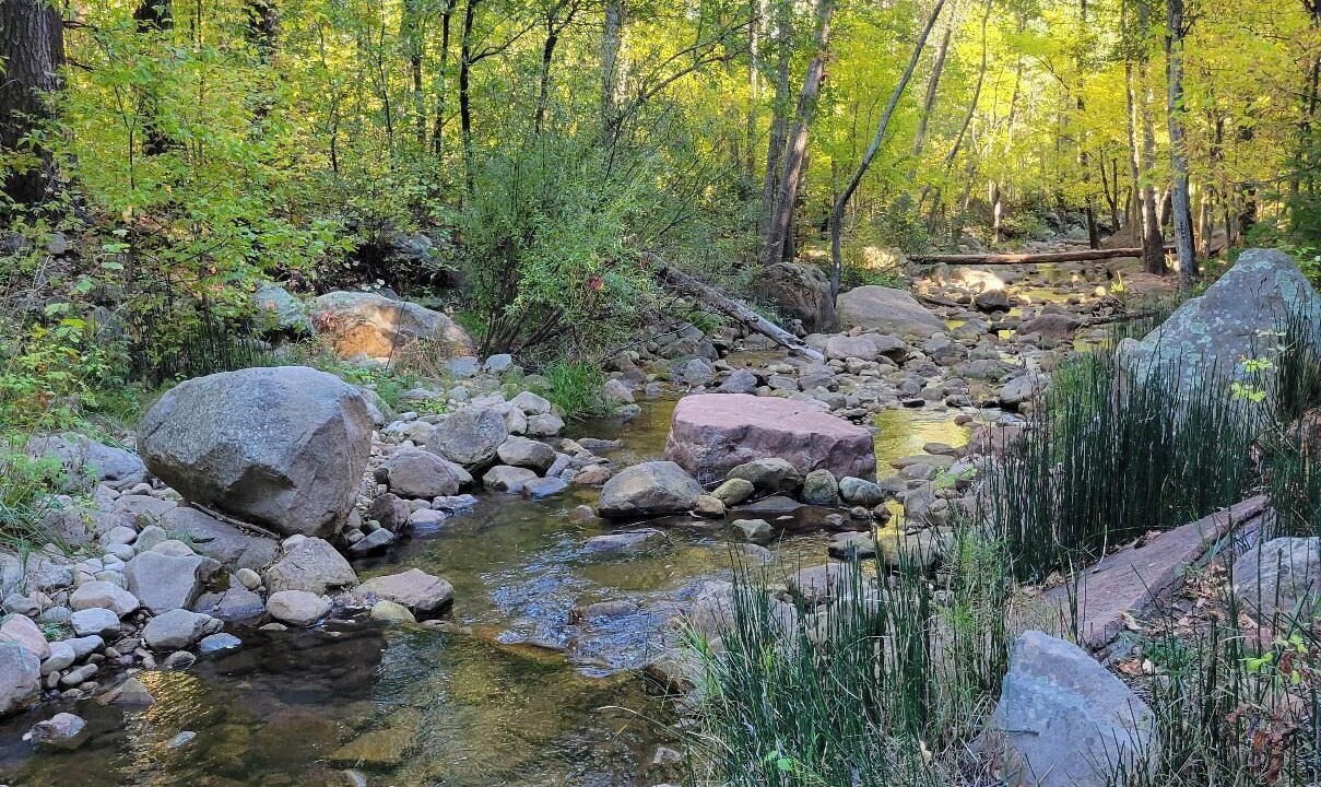 Photo of Others in Christopher Creek