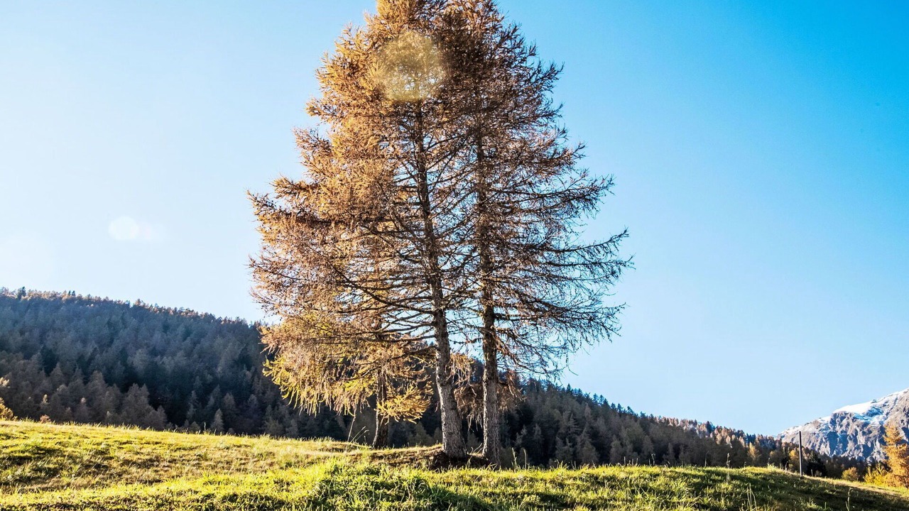 Photo of Outdoor in Borgo Valsugana