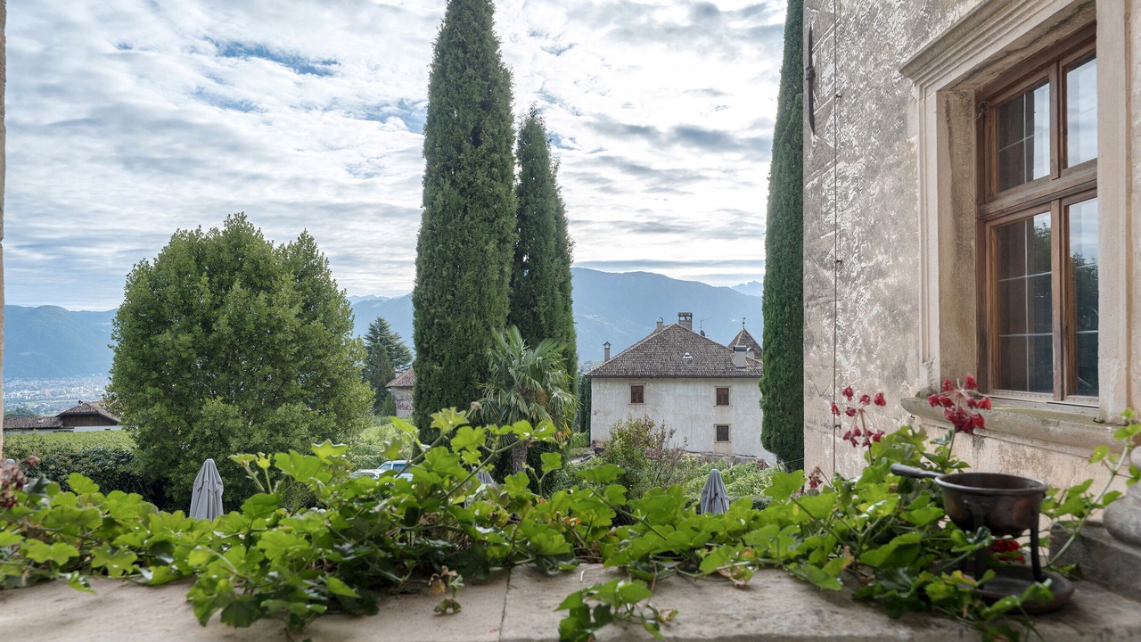 Photo of Outdoor in Berg/Monte