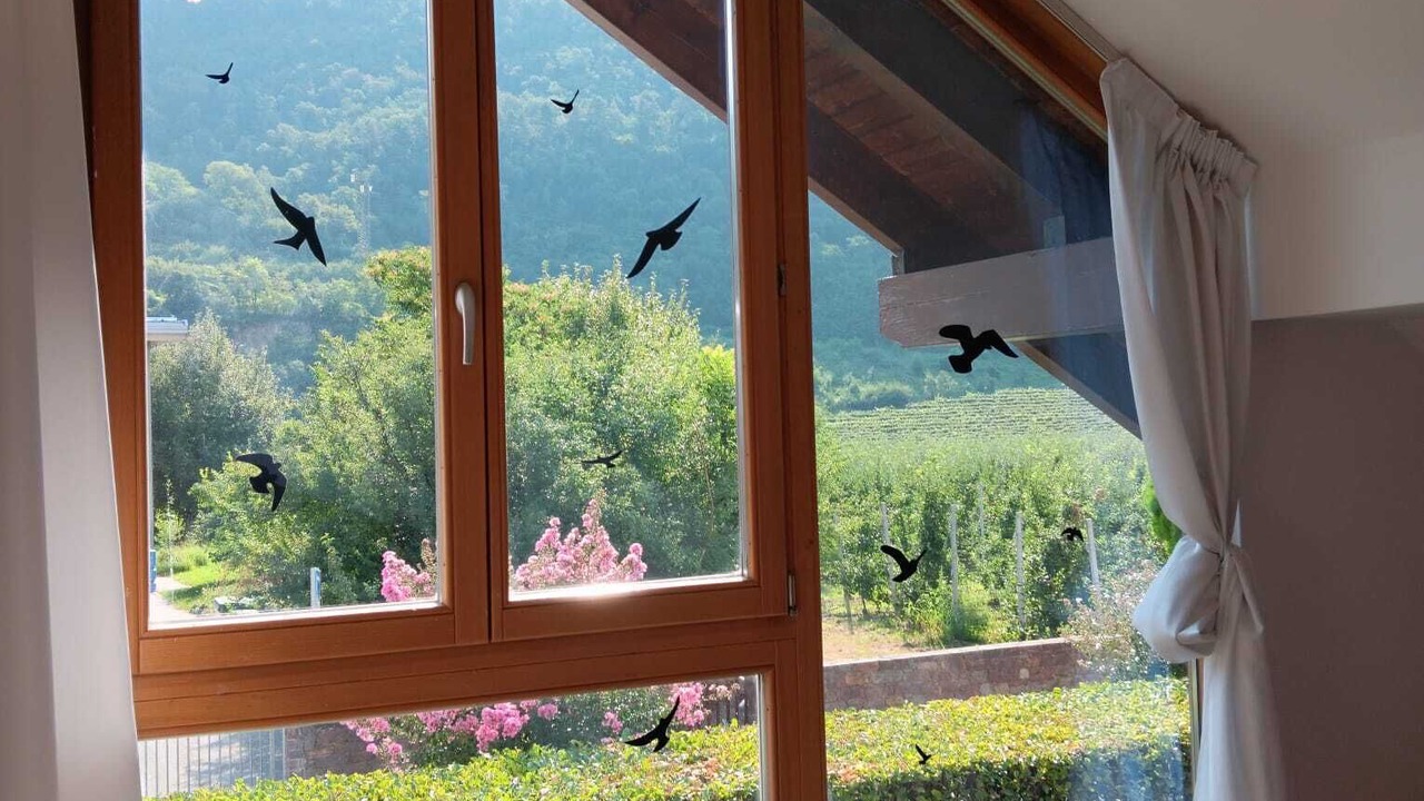 Photo of Others in San Michele All'adige