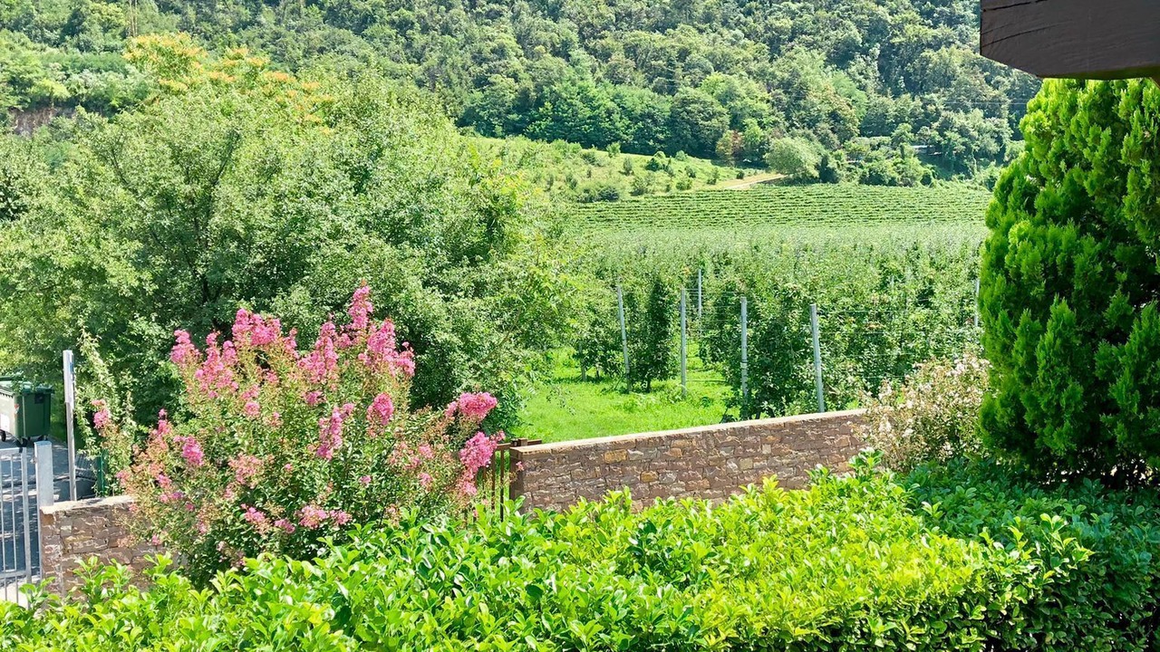 Photo of Outdoor in San Michele All'adige