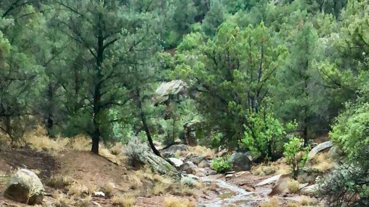 Photo of Others in Apple Valley