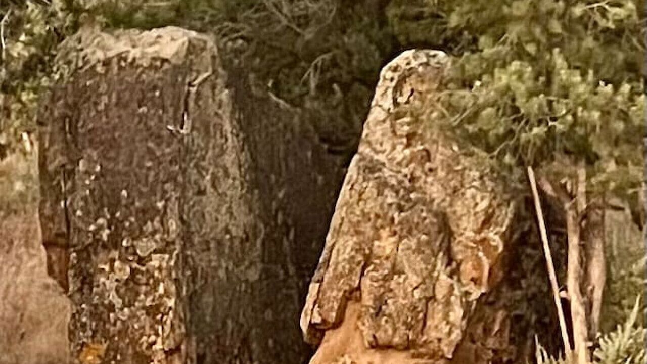 Photo of Others in Apple Valley