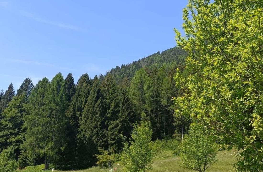 Photo of Outdoor in Pieve Tesino