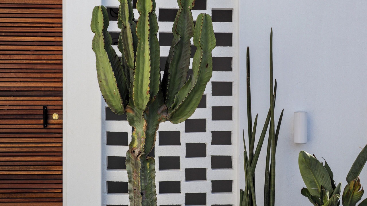 Photo of Outdoor in Durban North
