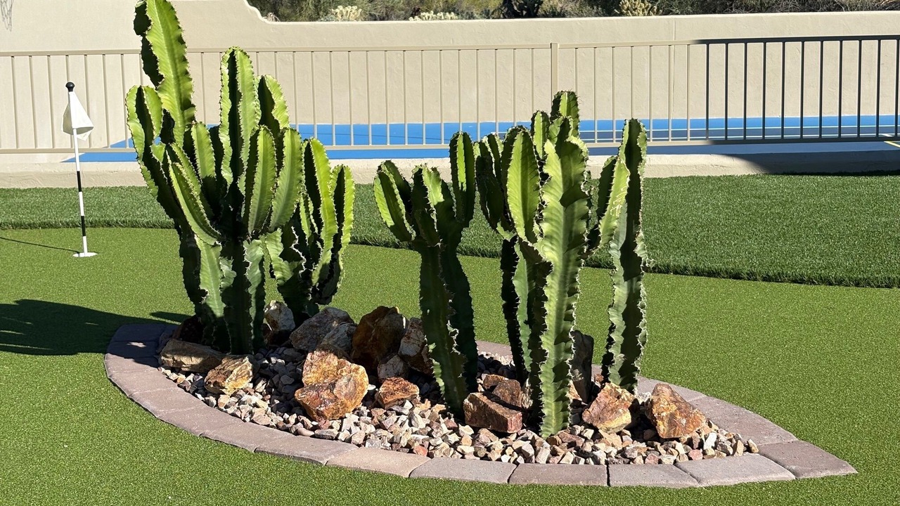 Photo of Outdoor in Pinnacle Peak Vistas III