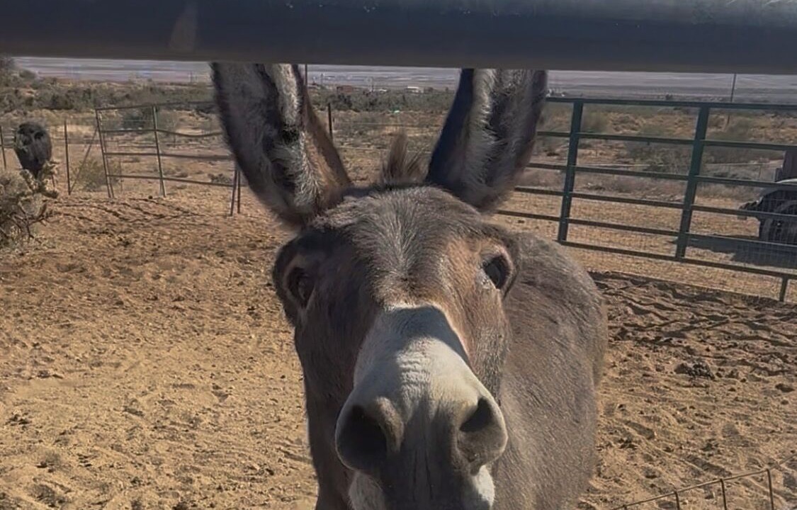 Photo of Others in Kingman