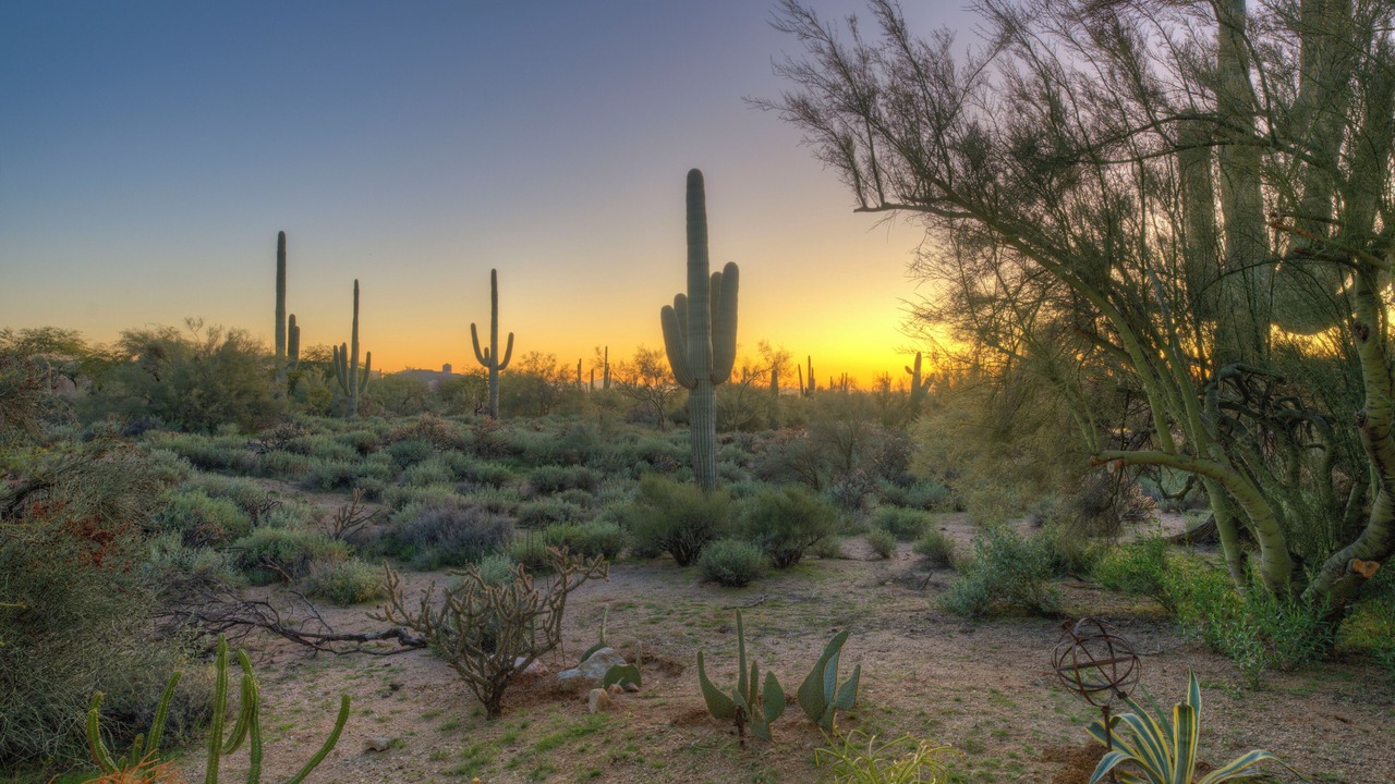 Photo of Others in Pinnacle Peak