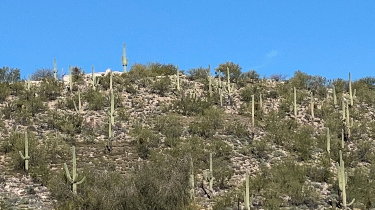 Photo of Others in Tucson