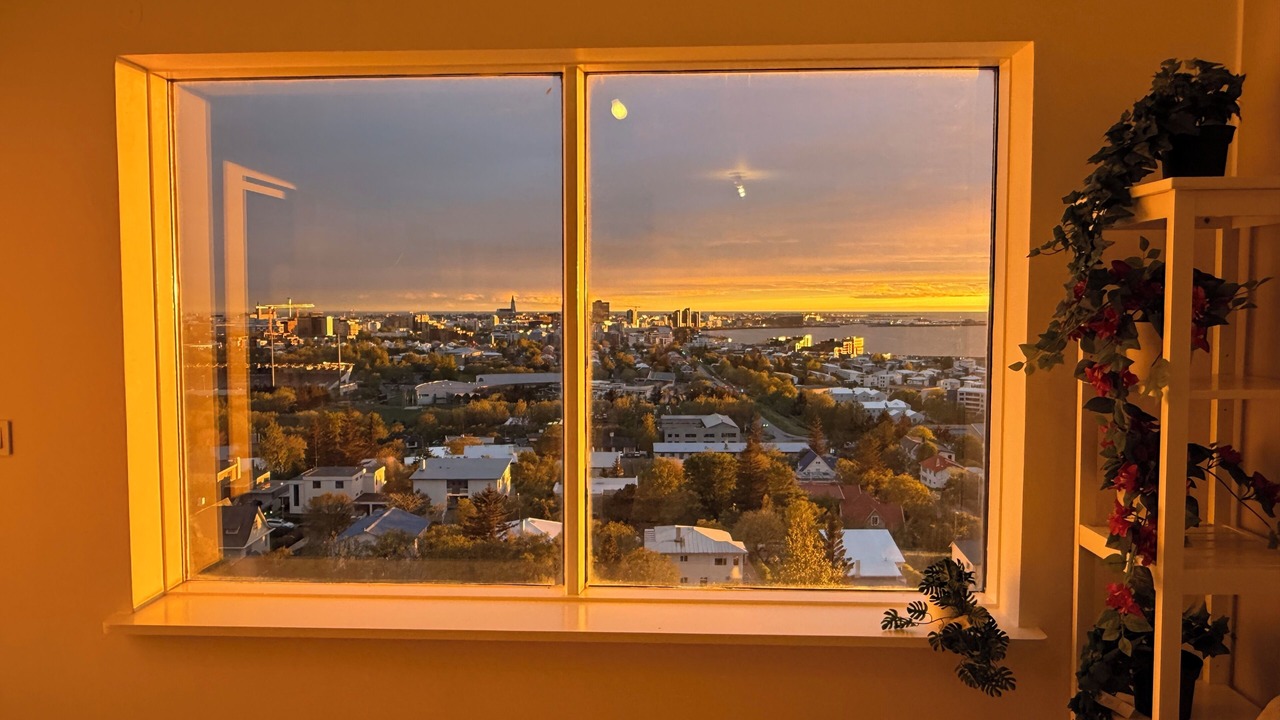 Photo of Others in Laugardalur