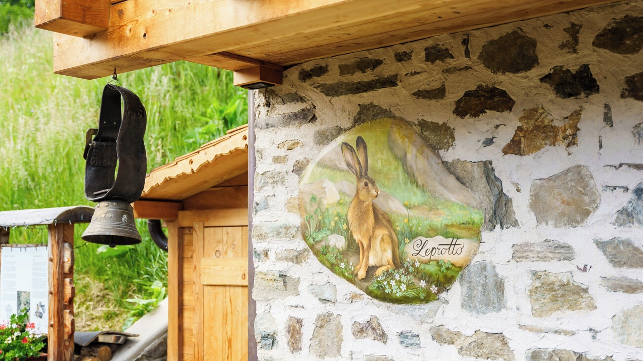 Photo of Outdoor in Cogolo