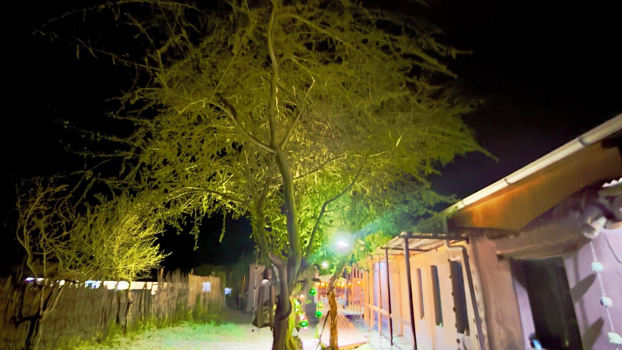 Photo of Outdoor in San Pedro de Atacama