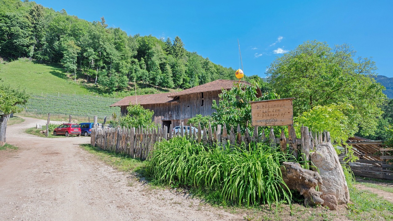 Photo of Outdoor in Montagna