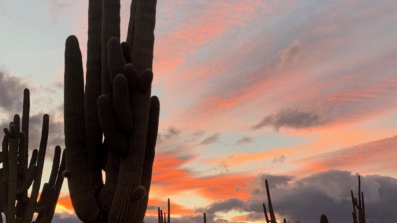 Photo of Others in Tucson