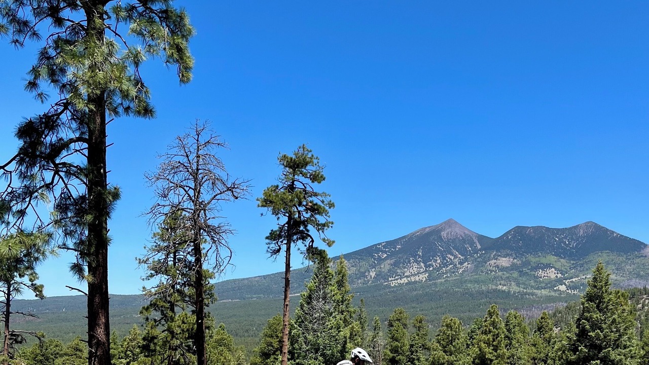 Photo of Others in Flagstaff