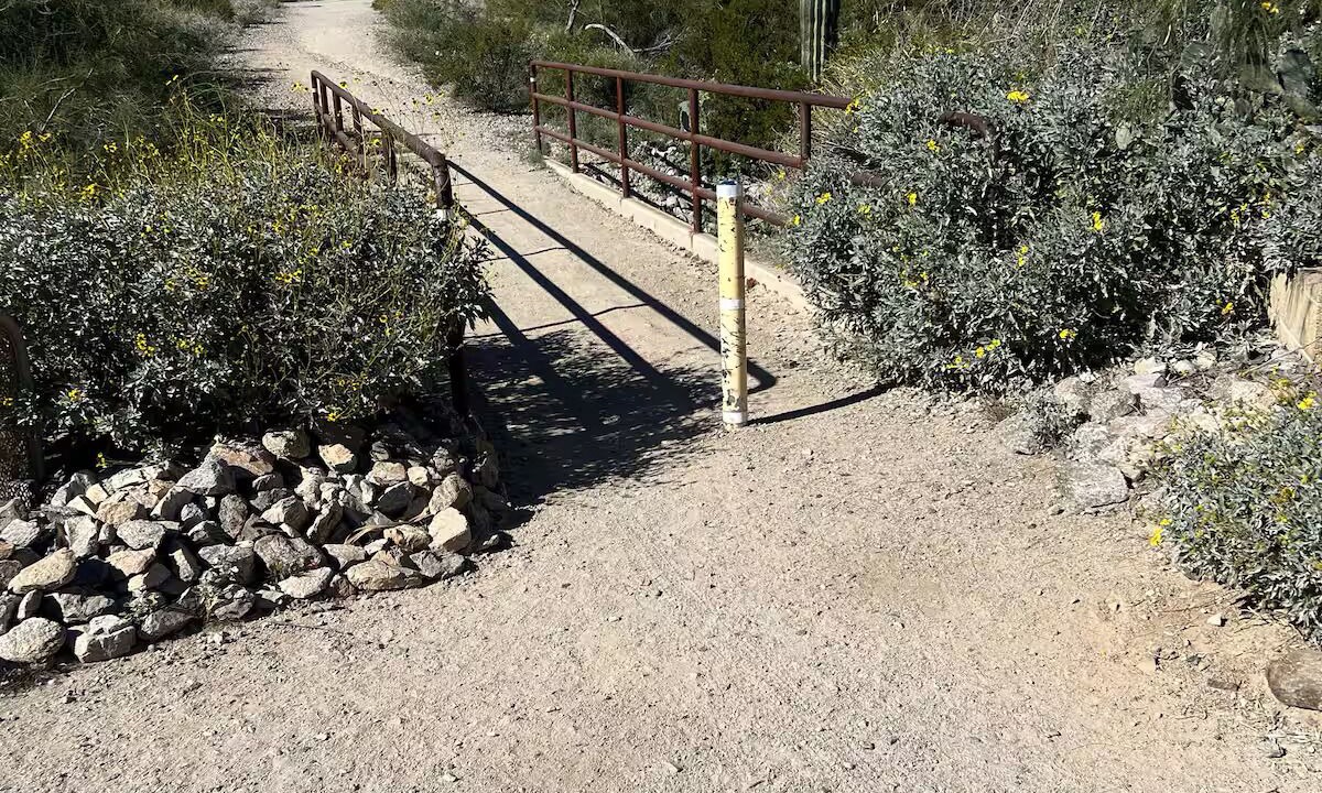 Photo of Others in Ahwatukee Foothills