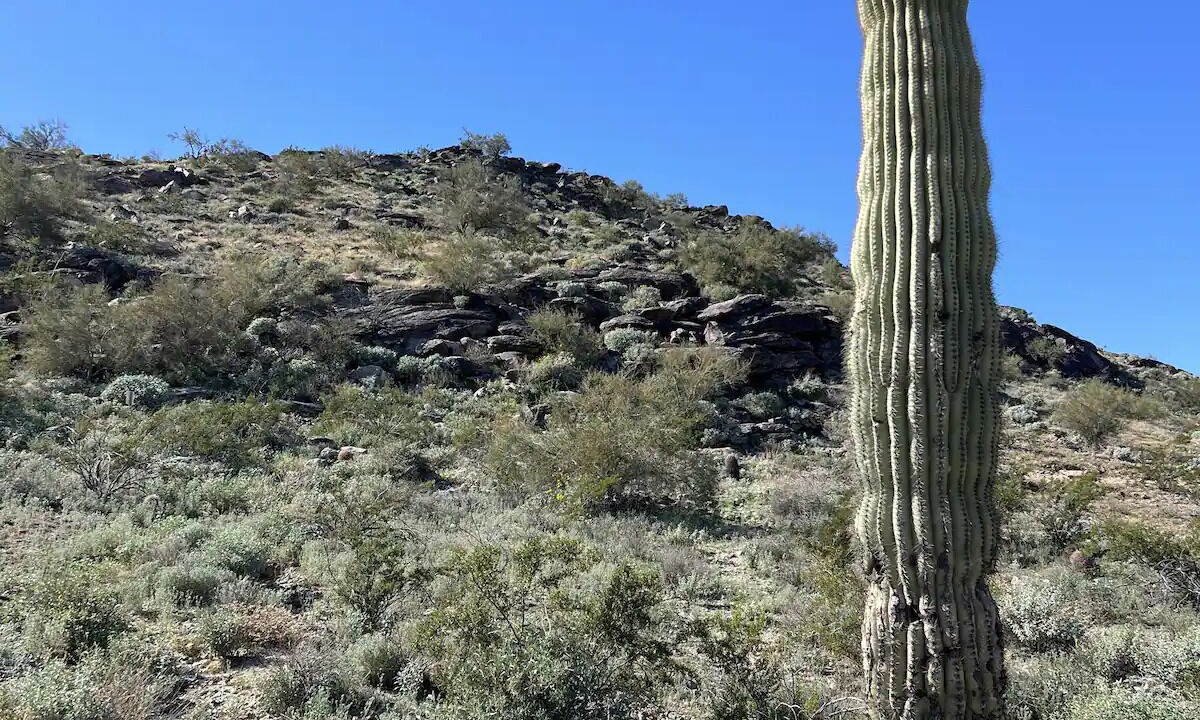 Photo of Others in Ahwatukee Foothills