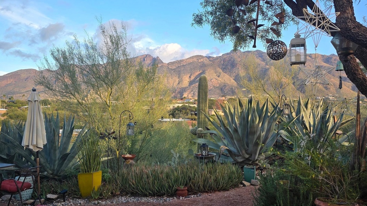 Photo of Outdoor in Skyline Bel Air Estates