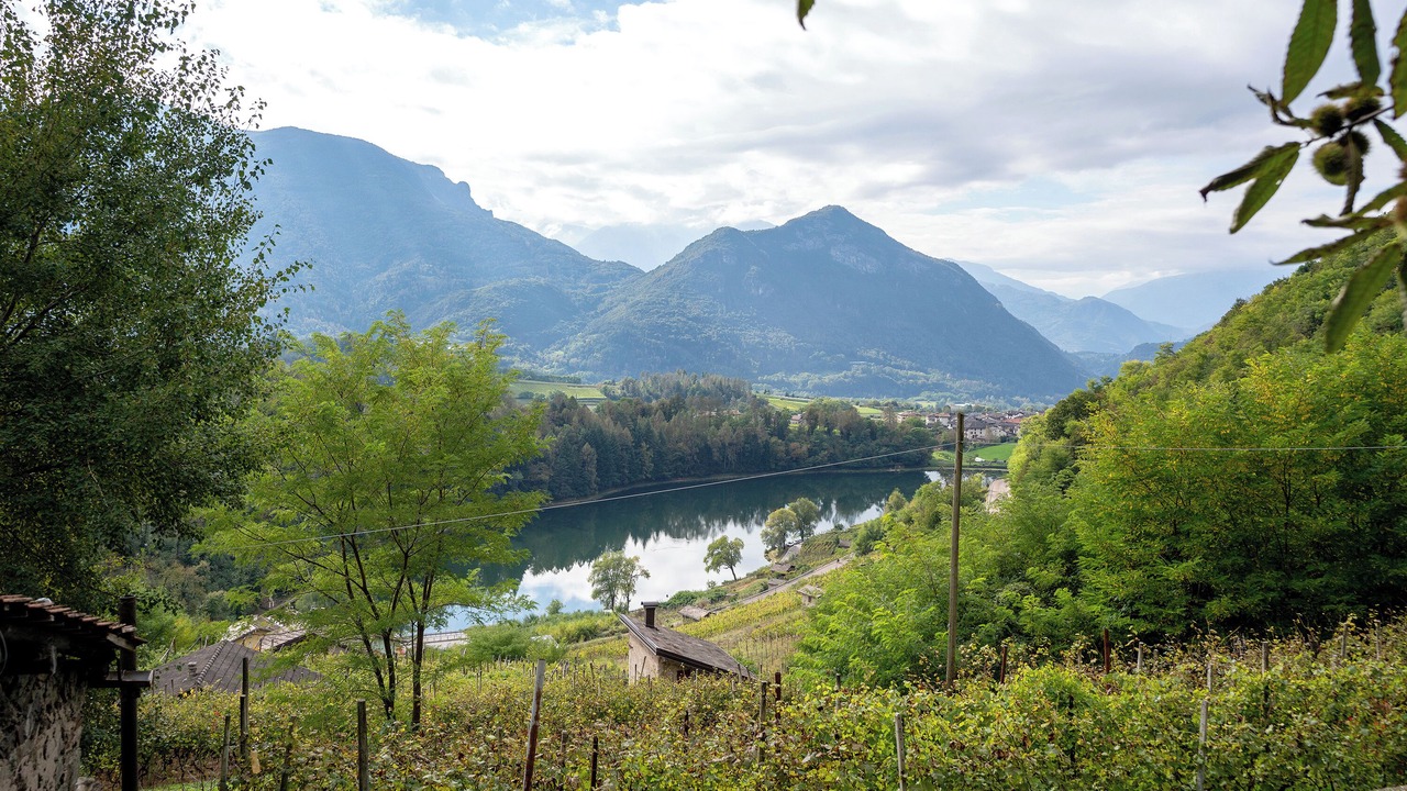 Photo of Others in Pergine Valsugana