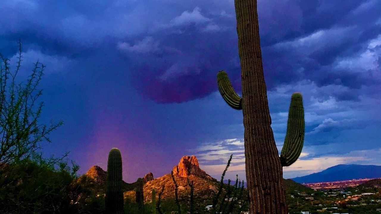 Photo of Others in San Tan Valley