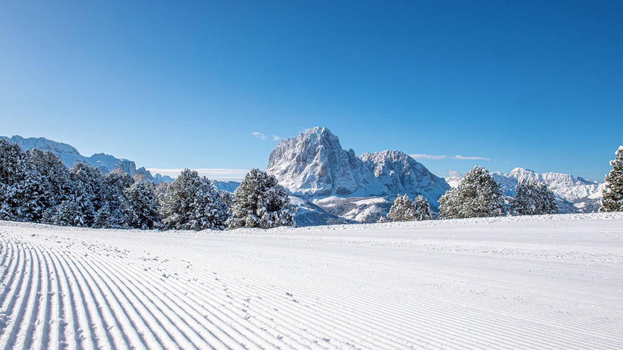 Photo of Others in Santa Cristina Val Gardena