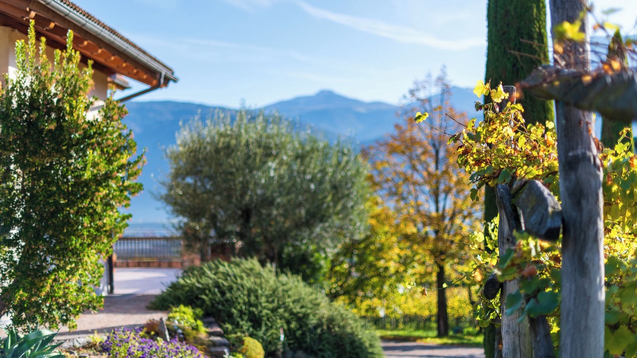 Photo of Outdoor in Tramin