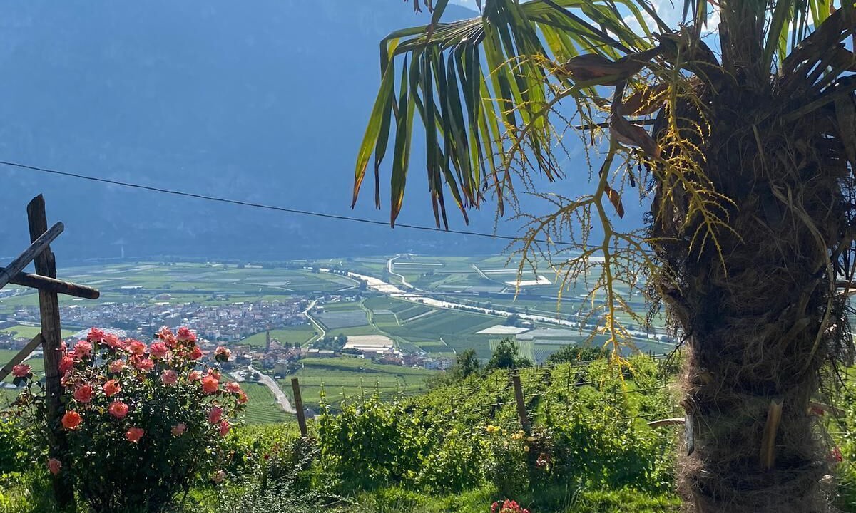 Photo of Outdoor in Lavis