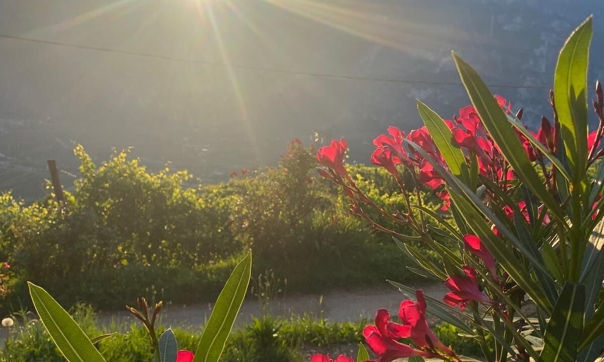 Photo of Outdoor in Lavis