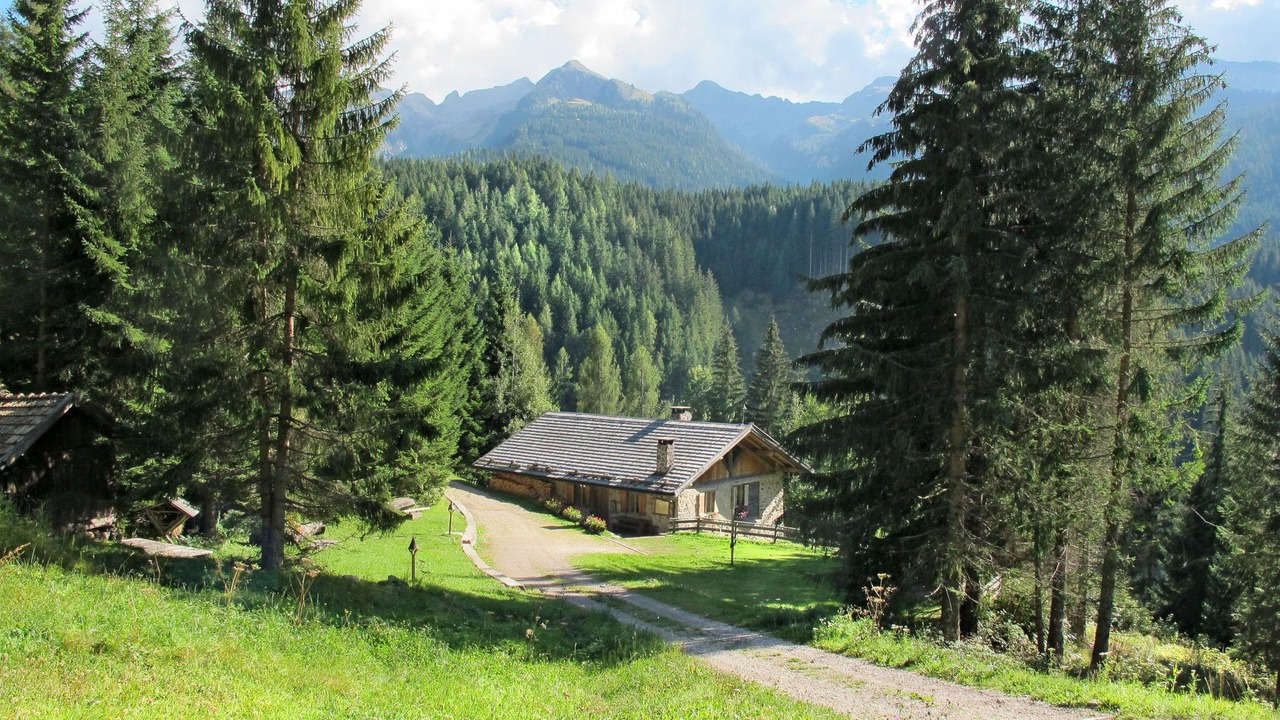 Photo of Others in Predazzo