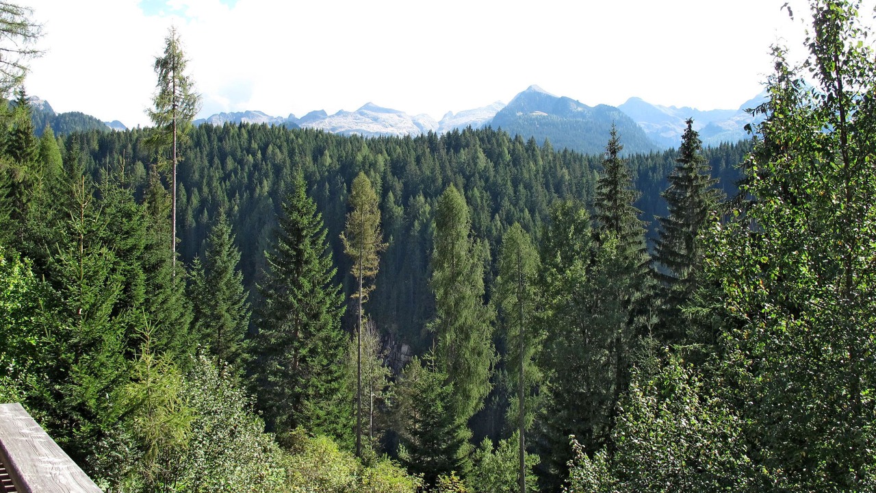 Photo of Others in Predazzo