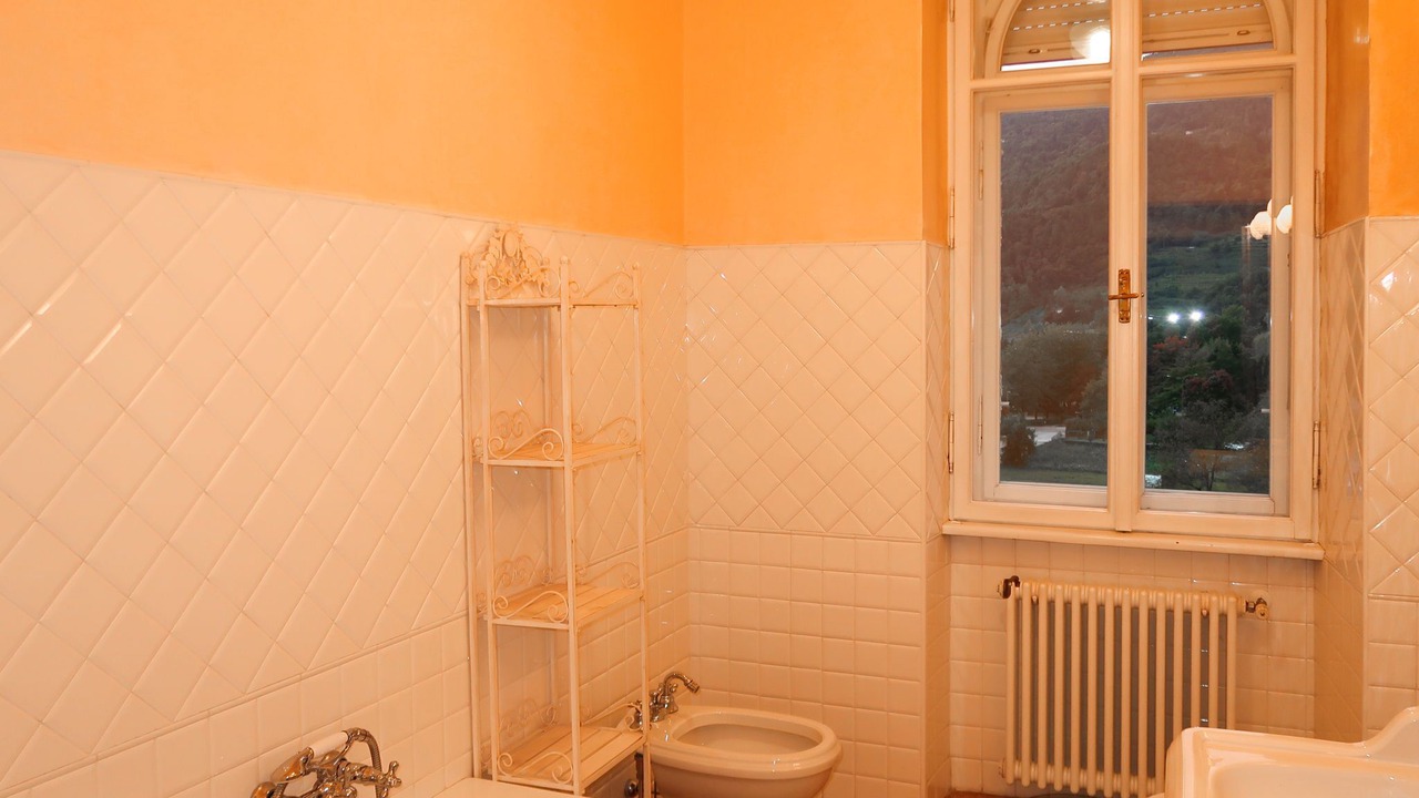 Photo of Bathroom in Susa