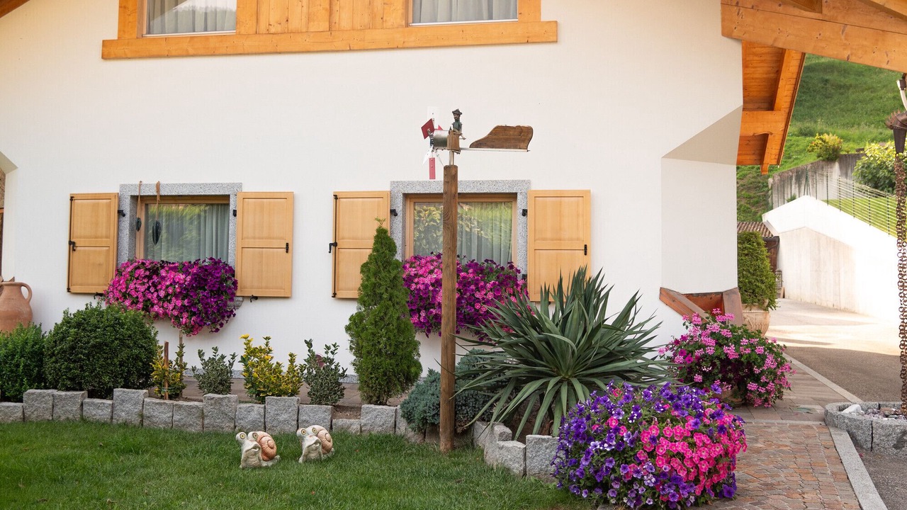 Photo of Outdoor in Roncone