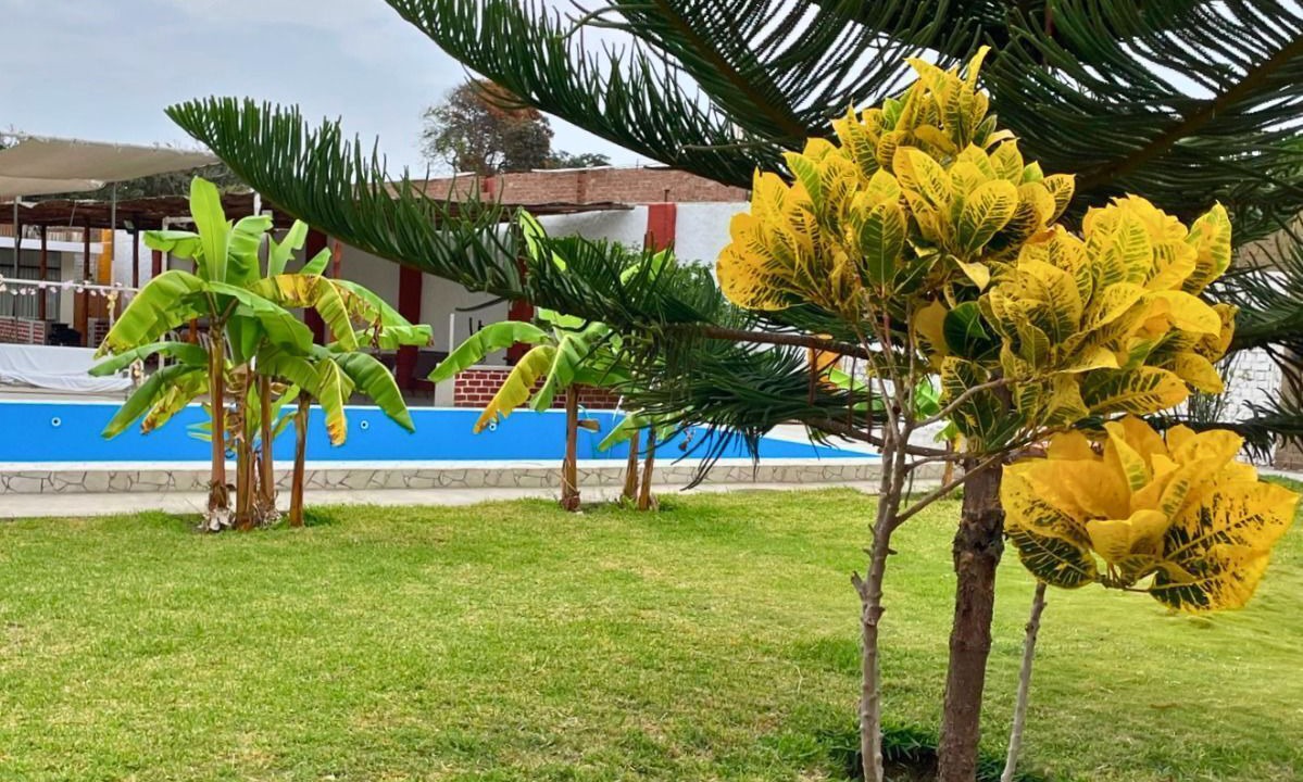 Photo of Outdoor in Moche