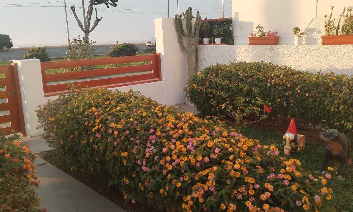 Photo of Outdoor in Trujillo