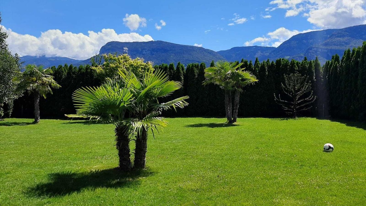 Photo of Outdoor in Tramin