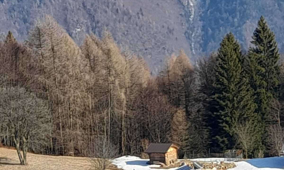 Photo of Outdoor in Sella Giudicarie