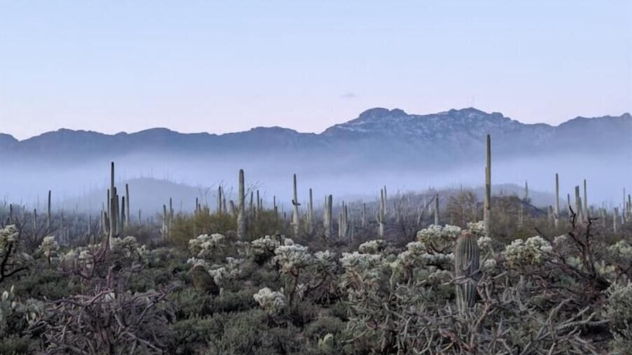 Photo of Others in Tucson