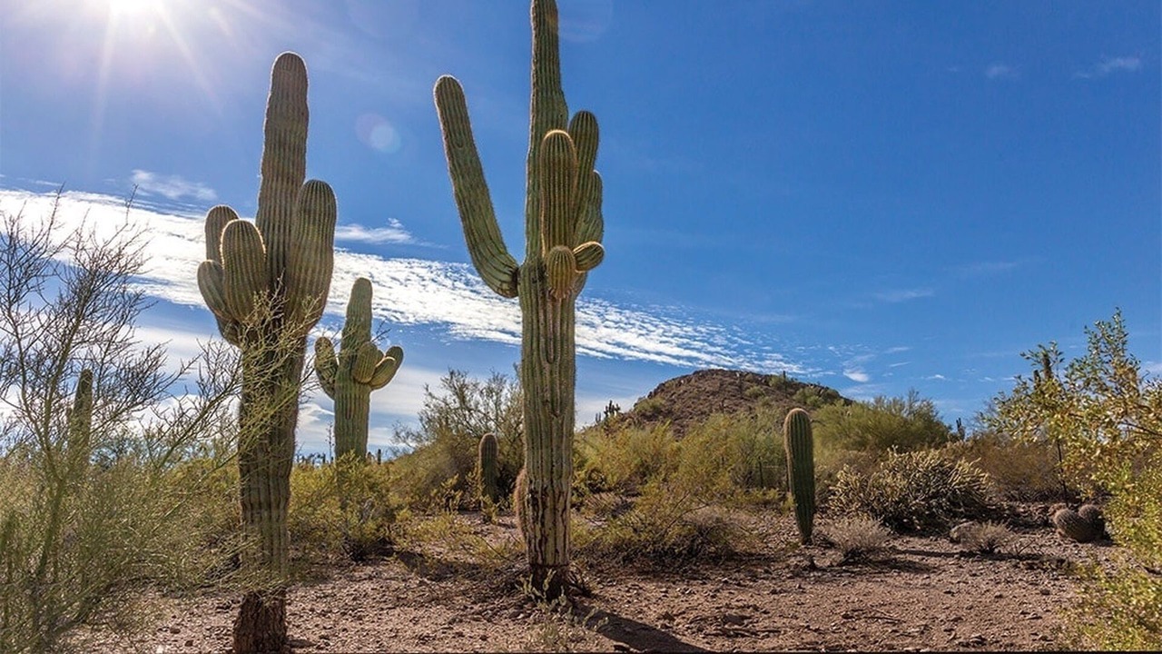 Photo of Others in Paradise Valley Village