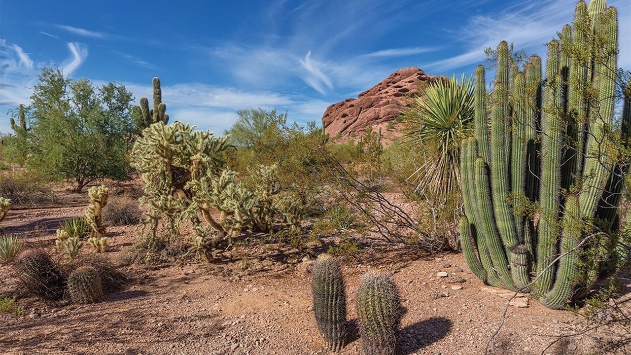 Photo of Others in Paradise Valley Village