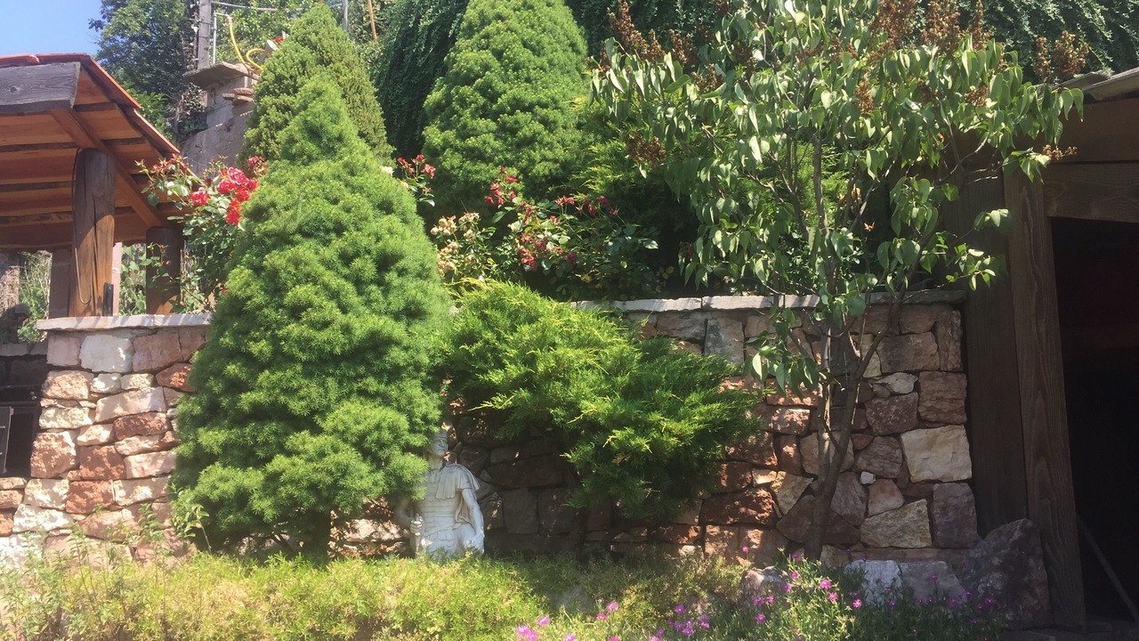 Photo of Outdoor in Giovo