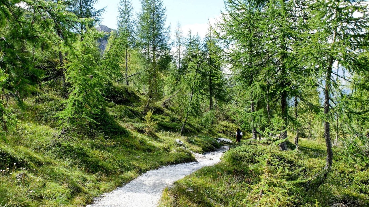 Photo of Others in Comano Terme